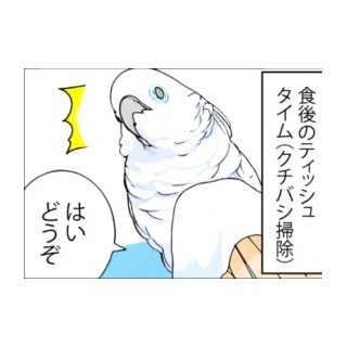 漫画「いたずらオウムの生活雑記」 第399回 逃げ出すオウム