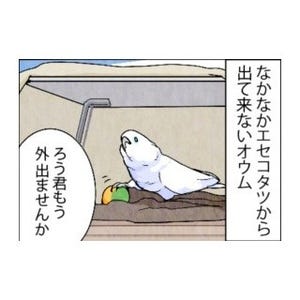 漫画「いたずらオウムの生活雑記」 第402回 思い通りになるとでも?