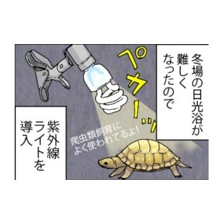 漫画「いたずらオウムの生活雑記」 第413回 目に見えない変化