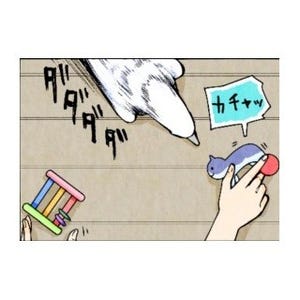 漫画「いたずらオウムの生活雑記」 第418回 二兎追うものは