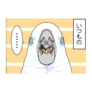 漫画「いたずらオウムの生活雑記」 第419回 もう いらねぇ 2017