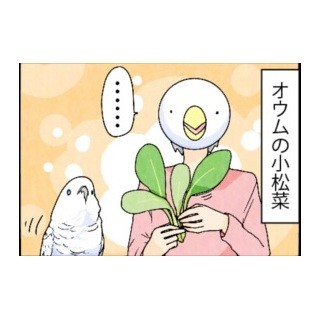 漫画「いたずらオウムの生活雑記」 第425回 小松菜をあげるときのひと工夫