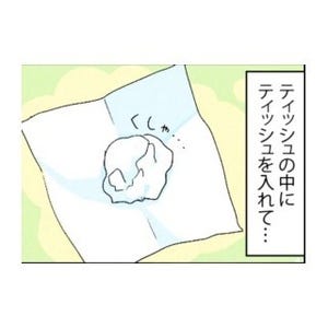 漫画「いたずらオウムの生活雑記」 第430回 初めてのティッシュボール