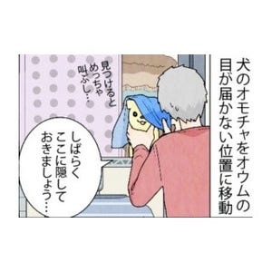 漫画「いたずらオウムの生活雑記」 第445回 犬のオモチャ! 発見!