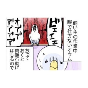 漫画「いたずらオウムの生活雑記」 第458回 届かぬドライヤー