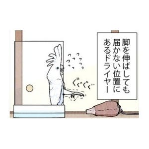 漫画「いたずらオウムの生活雑記」 第459回 届いたドライヤー