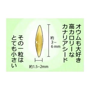 漫画「いたずらオウムの生活雑記」 第479回 クチバシって便利