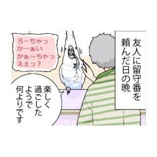 漫画「いたずらオウムの生活雑記」 第484回 目を離した隙にゴリラ