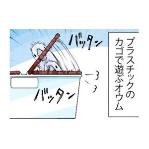 漫画「いたずらオウムの生活雑記」 第498回 あっぶねえええ