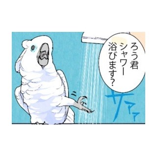 漫画「いたずらオウムの生活雑記」 第515回 水って掴めないんだ