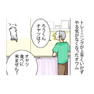 漫画「いたずらオウムの生活雑記」 第528回 お片付けは苦手でも