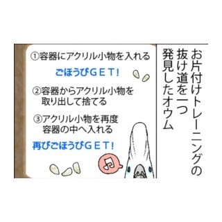 漫画「いたずらオウムの生活雑記」 第535回 延長されるお片付け