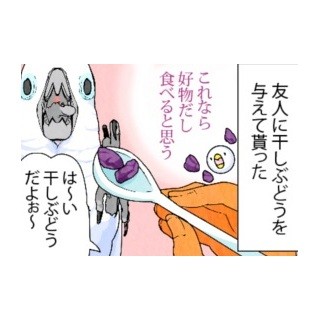 漫画「いたずらオウムの生活雑記」 第547回 おっ、食べるか?