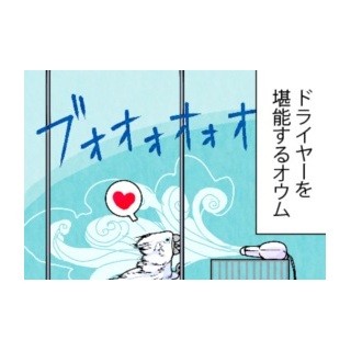 漫画「いたずらオウムの生活雑記」 第574回 安定供給を求む