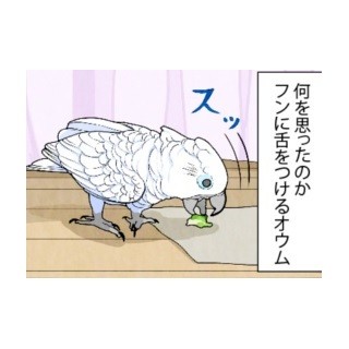 漫画「いたずらオウムの生活雑記」 第577回 うっわ、バッチィ