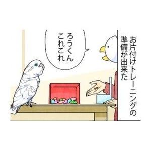 漫画「いたずらオウムの生活雑記」 第590回 気まぐれな鳥