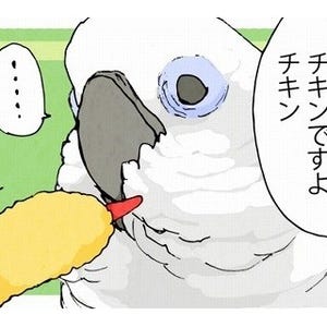 漫画「いたずらオウムの生活雑記」 第62回 オモチャ、怖い