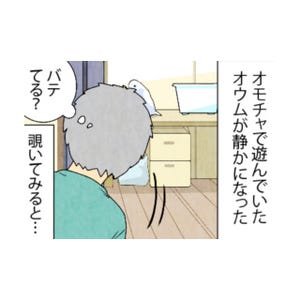 漫画「いたずらオウムの生活雑記」 第624回 うっとり……