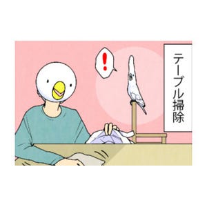 漫画「いたずらオウムの生活雑記」 第639回 掃除自体が…!?