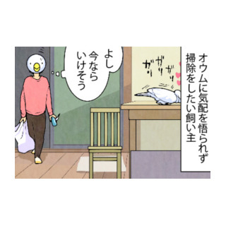 漫画「いたずらオウムの生活雑記」 第640回 無理でした