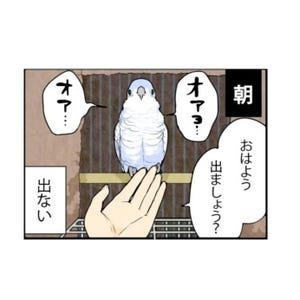 漫画「いたずらオウムの生活雑記」 第653回 出る? 出ない?