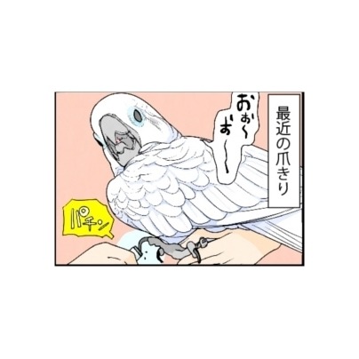 漫画「いたずらオウムの生活雑記」 第659回 そこだけはヤメて