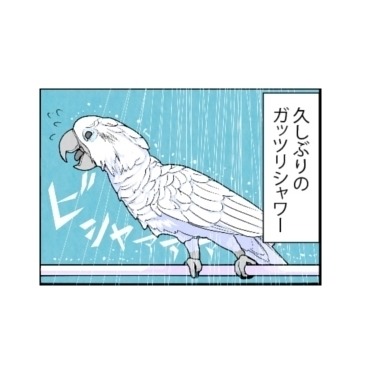 漫画「いたずらオウムの生活雑記」 第663回 ハッピーエンド