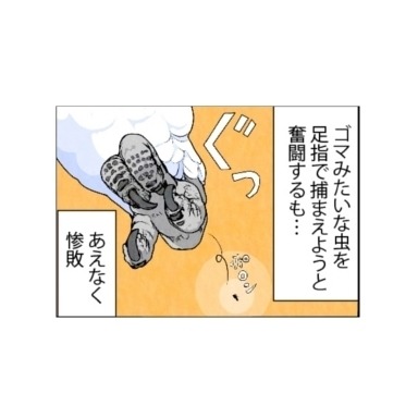 漫画「いたずらオウムの生活雑記」 第669回 チャンスです!