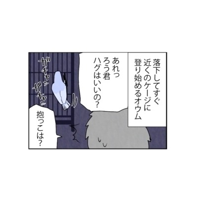 漫画「いたずらオウムの生活雑記」 第693回 怒りと明暗