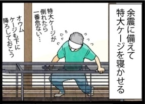 漫画「いたずらオウムの生活雑記」 第700回 余震の備え