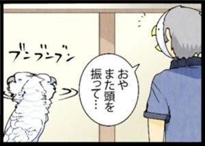 漫画「いたずらオウムの生活雑記」 第713回 視線の先に…!?