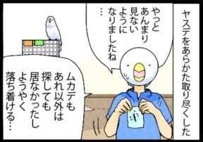 漫画「いたずらオウムの生活雑記」 第715回 思わぬ刺客