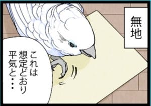 漫画「いたずらオウムの生活雑記」 第722回 平気? ビビりそう?