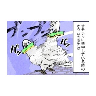 漫画「いたずらオウムの生活雑記」 第74回 バイオレンス