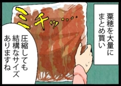 漫画「いたずらオウムの生活雑記」 第777回 密集もダメ