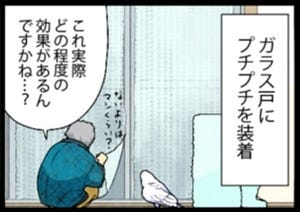 漫画「いたずらオウムの生活雑記」 第802回 プチプチの効果