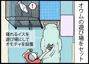 漫画「いたずらオウムの生活雑記」 第900回 飼い主タクシー