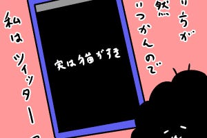 カレー沢薫の時流漂流 第121回 Twitterの新機能「フリート」、文句言いつつ貪欲に活用する人たち