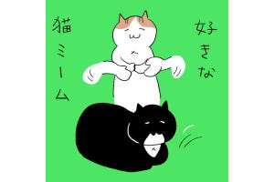 カレー沢薫の時流漂流 第291回 ミームで隔てられるネットとリアル、「猫ミーム」を眺めながら考える