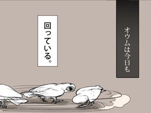 オウムは今日も考えている 第4回 なぜ回るのか