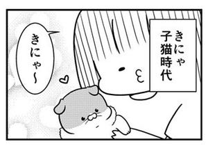 猫のきにゃと、ごとうさん 第89回 抵抗は全力