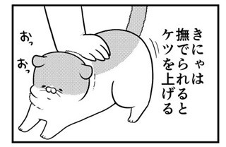 猫のきにゃと、ごとうさん 第91回 きにゃの尻が上がる時