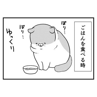 猫のきにゃと、ごとうさん 第97回 二匹の違い