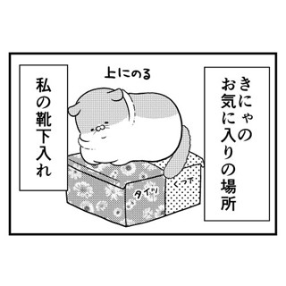 猫のきにゃと、ごとうさん 第99回 乗れてない