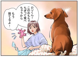 犬との暮らし「あるある」 第13回 【漫画】人間みたいに、明らかにふて寝や無視をする