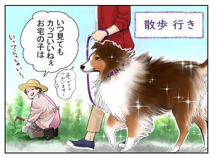 犬との暮らし「あるある」 第14回 【漫画】かっこいい犬でも、意外とおっちょこちょいなところも