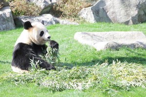 南谷有美の"ワーケーション"な毎日 第4回 和歌山県の「ワーケーション」体験してきました!