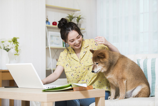 【クイズ】写真から消えたものを探せ 第6回 飼い主のテレワークを邪魔する柴犬 - 2枚目の写真で消えたものとは…!?