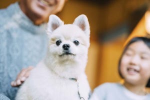 ペットも相続できる? お世話代の贈与や飼育団体との契約を遺言書に記す方法も