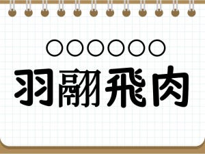 社会人なら常識? 四字熟語クイズ 第34回 【クイズ】意外と難しい四字熟語「羽翮飛肉」って読める? 